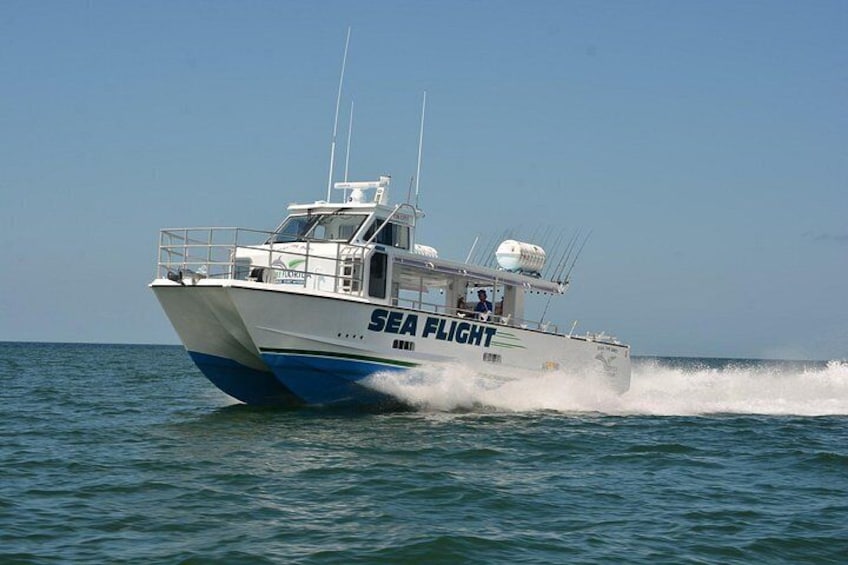 Naples Deep Sea 8 Hour Fishing 2