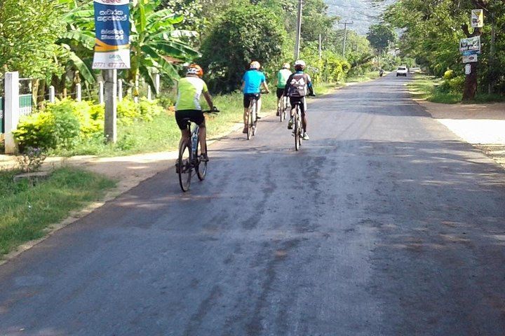 Ciclistas en una carretera pavimentada con vegetación a ambos lados. 5