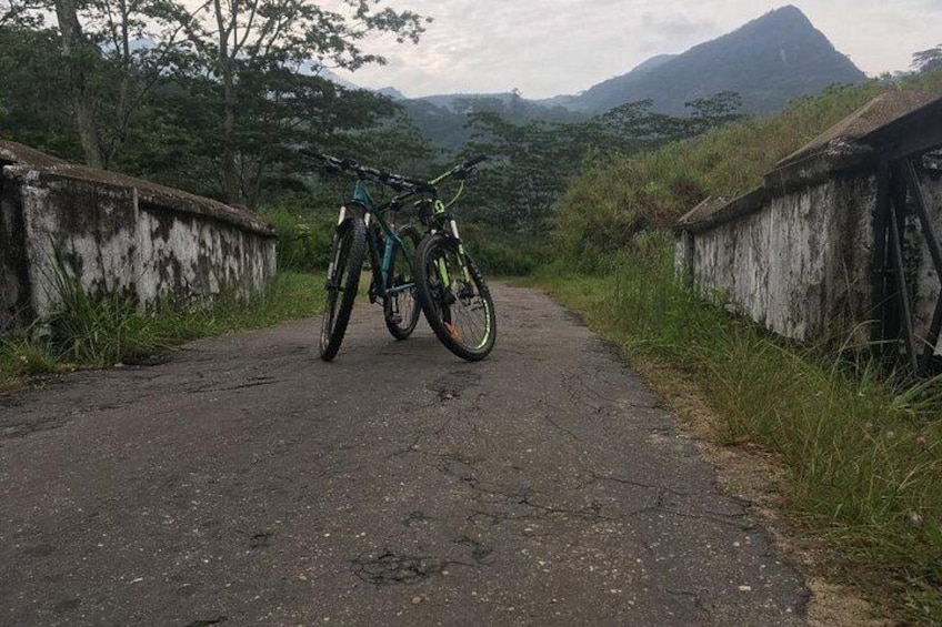 Un sendero pavimentado con dos bicicletas estacionadas a la izquierda, rodeado de follaje y una montaña al fondo. 3