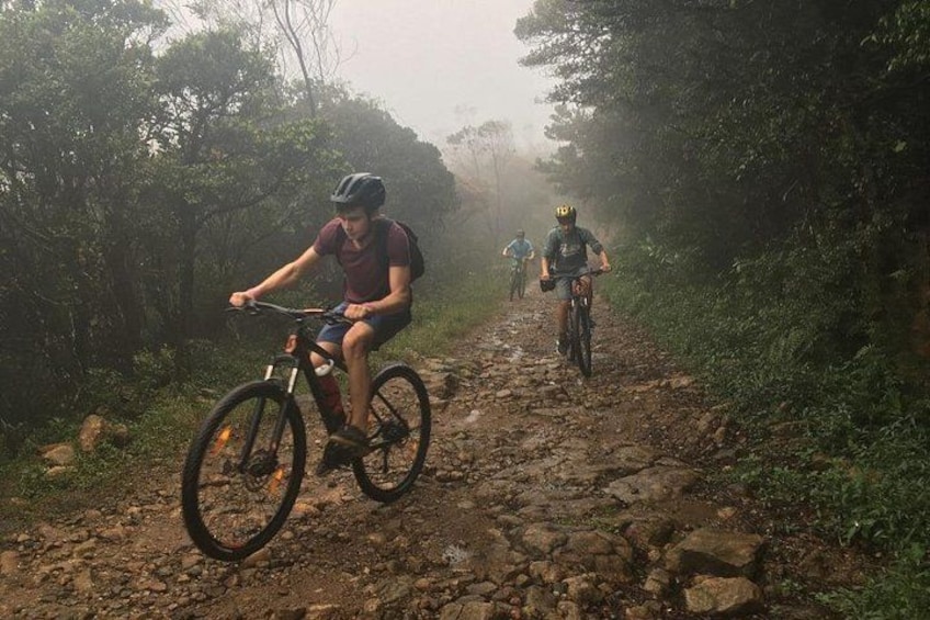 Una persona montando en bicicleta de montaña por un sendero pedregoso rodeado de árboles. 2