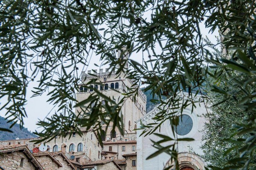 Gubbio: Private walking tour with official guide 5