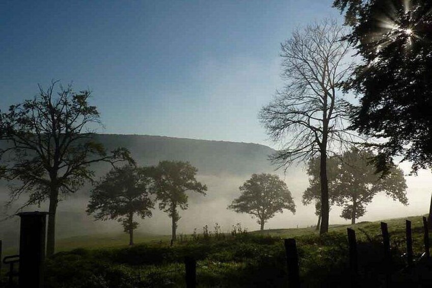 Misty landscape along the Burgundy canal 3
