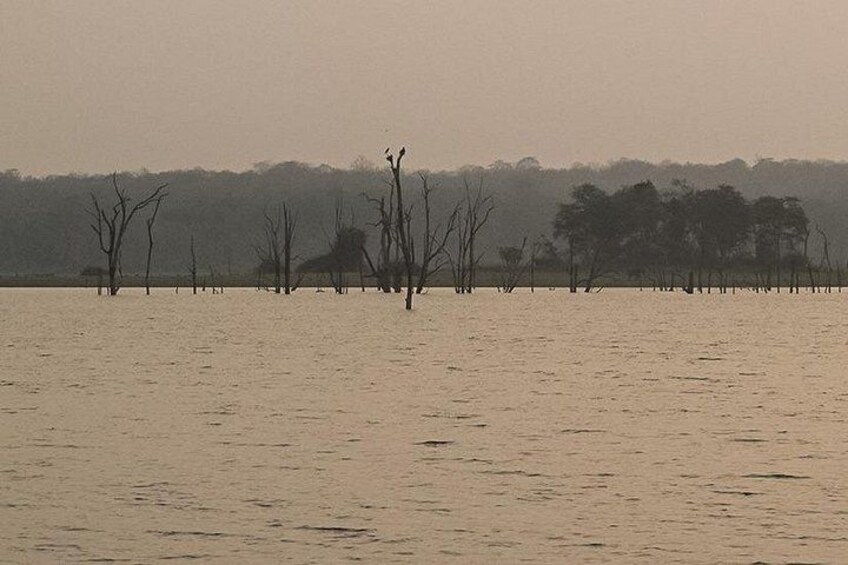 Bangalore to Nagarhole National Park: Wilderness Retreat 2