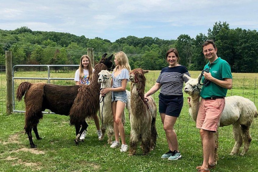 Eine Gruppe von Menschen mit Lamas auf einer Wiese, im Hintergrund ein Zaun und Bäume. 5
