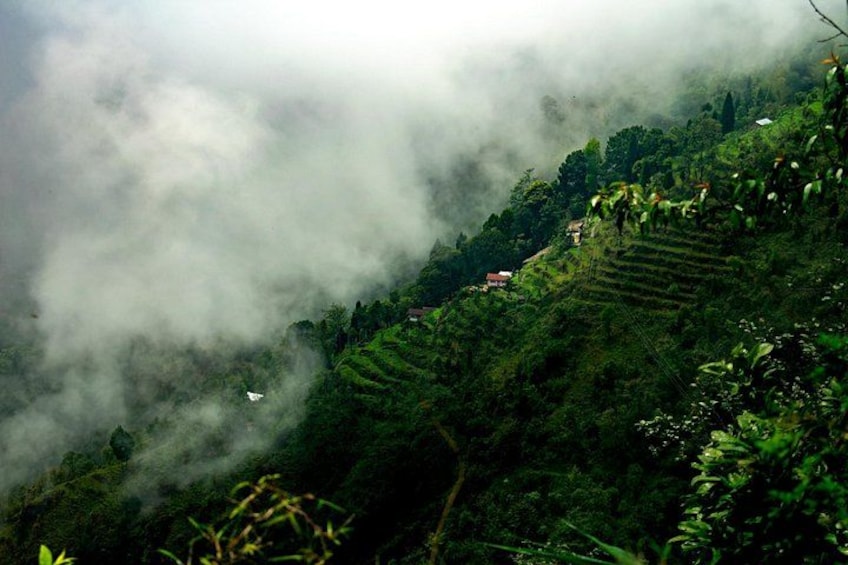 A mountainous landscape with terraced fields and a house amidst dense vegetation and clouds. 3