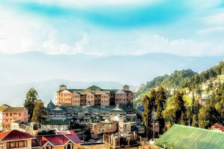 Tiger Hill Darjeeling Nature Walk (3 Hours Guided Trekking Experience) 3