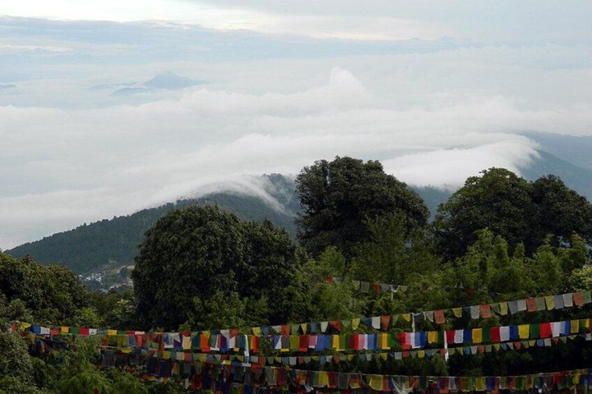 Tiger Hill Darjeeling Nature Walk (3 Hours Guided Trekking Experience) 2