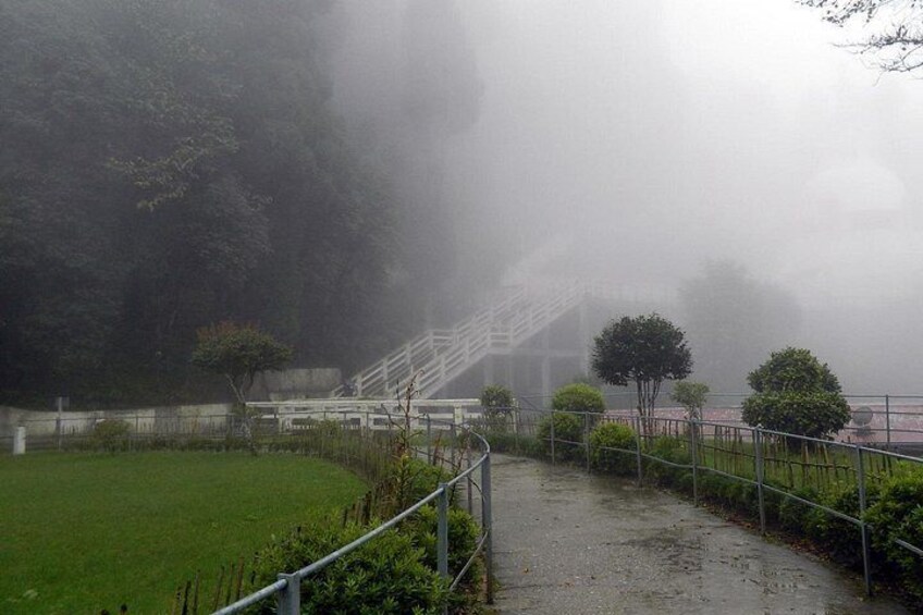 Tiger Hill Darjeeling Nature Walk (3 Hours Guided Trekking Experience) 4