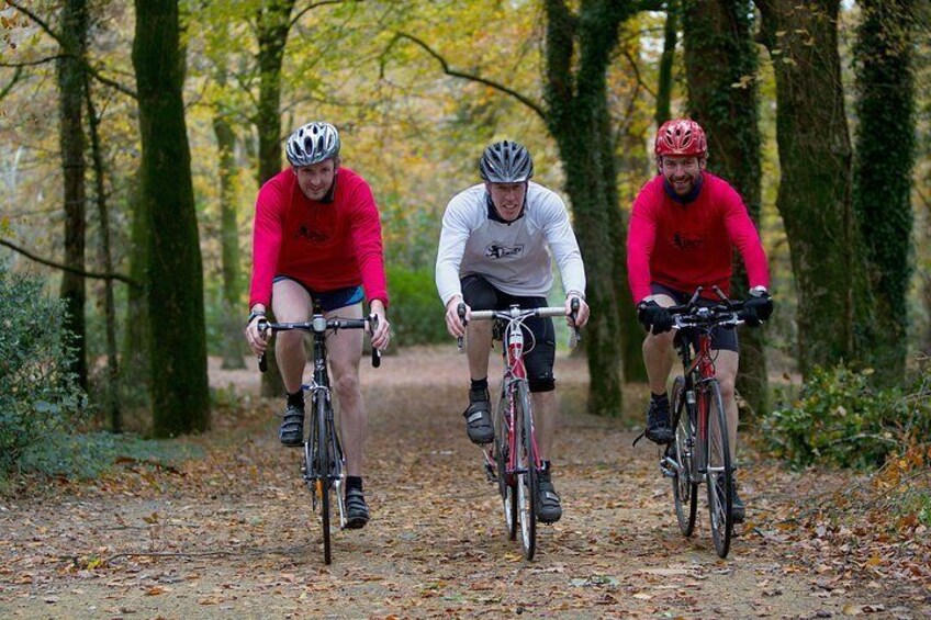 Cycle Killarney National Park. Killarney. Guided. 3 hours.