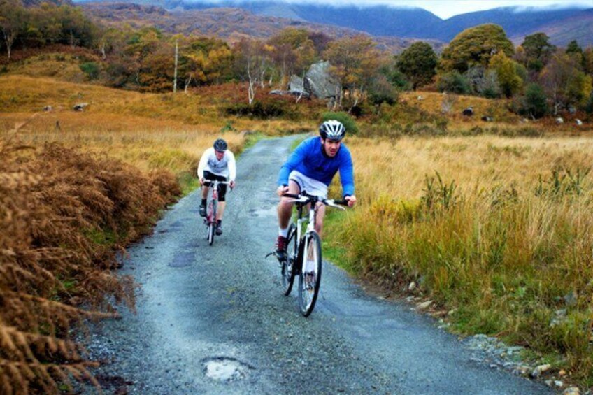 Cycle Killarney National Park. Killarney. Guided. 3 hours.