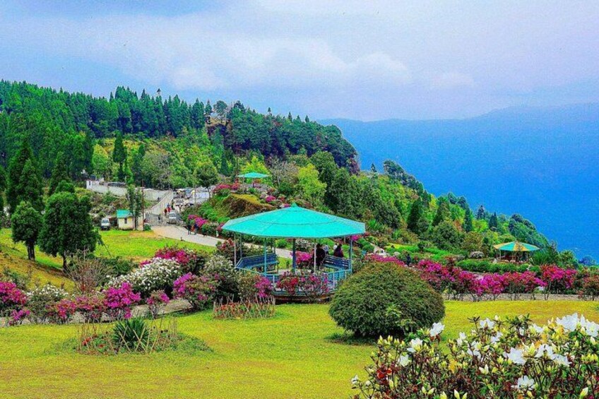 Day Trip to Kalimpong (Guided Private Sightseeing Experience from Darjeeling) 3