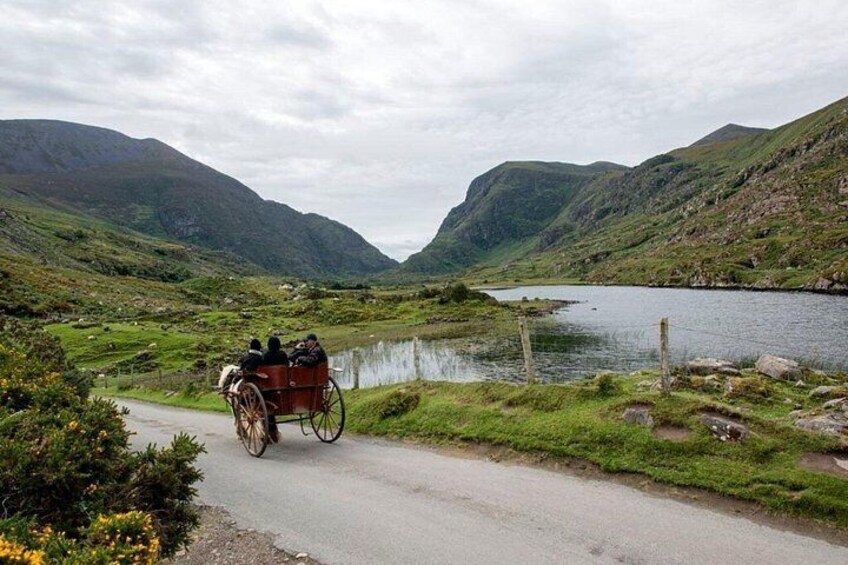 Ring of Kerry & Killarney tour departing from Cork City. Guided. Full Day. 2