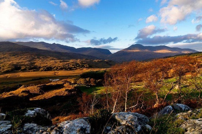 Ring of Kerry & Killarney tour departing from Cork City. Guided. Full Day. 3