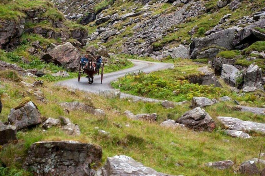 Ring of Kerry & Killarney tour departing from Cork City. Guided. Full Day. 2