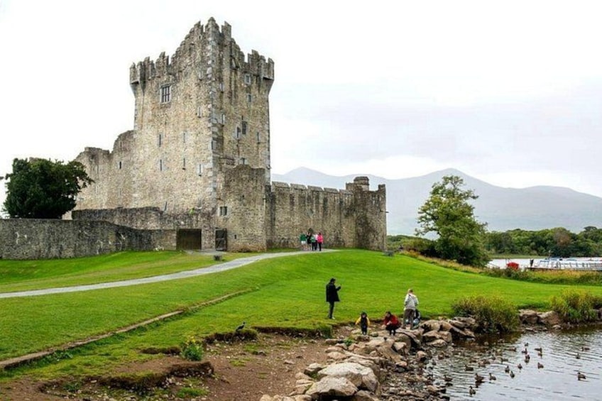 Ring of Kerry & Killarney tour departing from Cork City. Guided. Full Day. 2