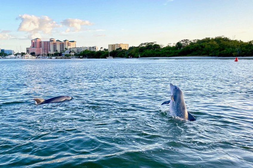 Dolphin Tiki Cruise around Fort Myers Beach 5