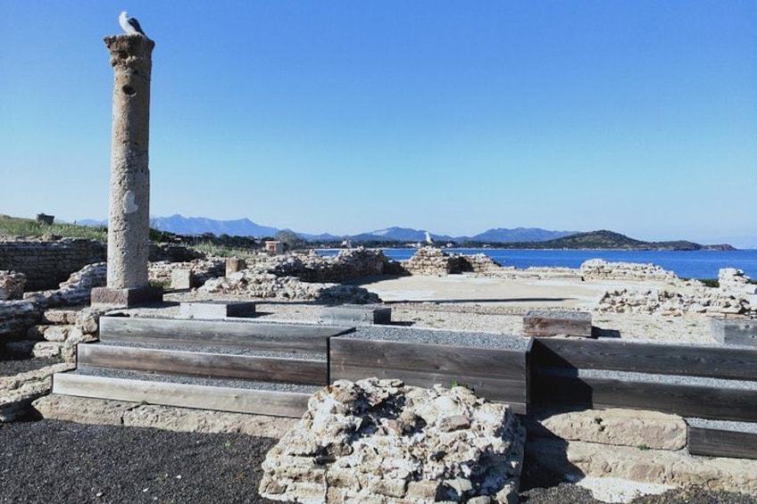 Tour to the archaeological site of Nora - from Cagliari 2
