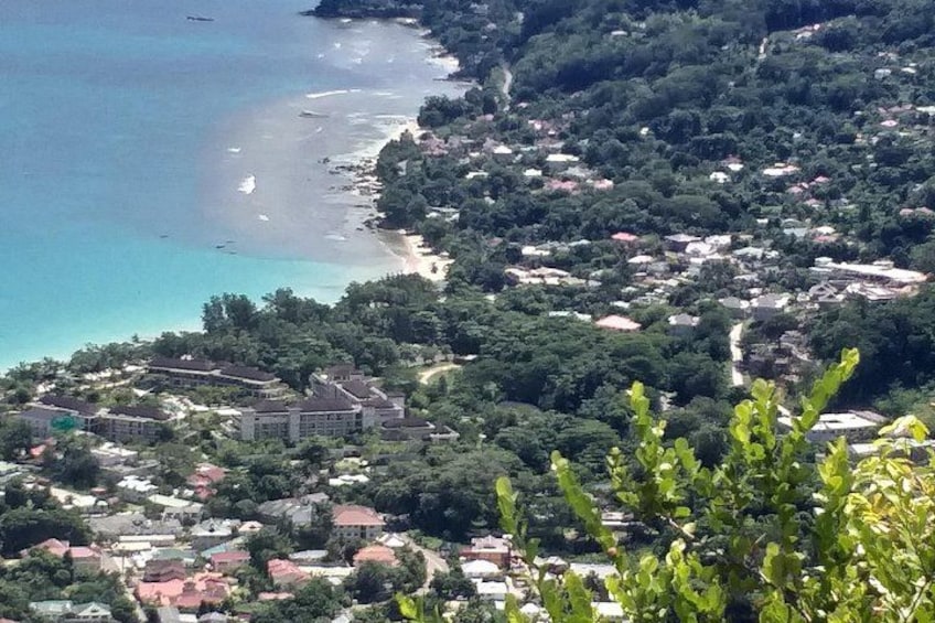 A coastal town with a beach, dense greenery, and buildings. 4