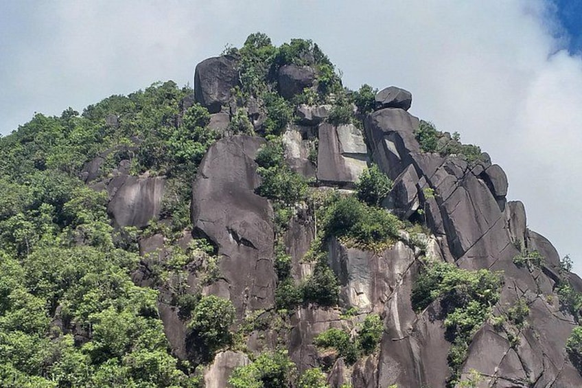 A rugged mountain with large rock formations and dense green vegetation. 3
