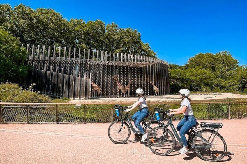 Bike ride in the Parc de la Tête d'Or - 2h