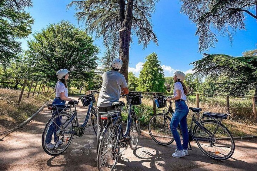Electric bike ride in the Parc de la Tête d'Or - 2h 4