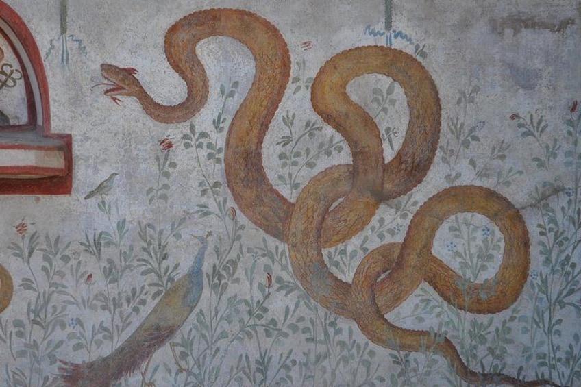 En vägg med ett stort ormmotiv och några växter. 2