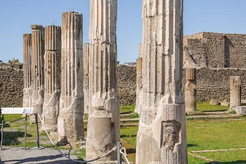 Pompeii Guided Tour & Lunch with Superior Wine Tasting 3