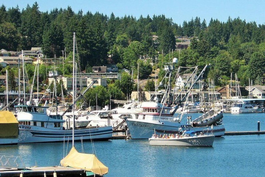 A marina with several boats docked, surrounded by a forested hillside. 3