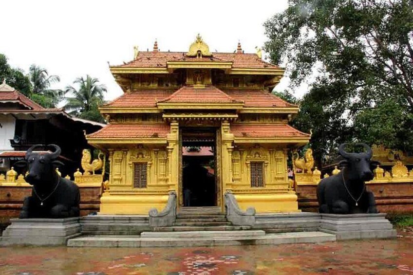 Private Day Trip to Varkala by Car (Guided City Sightseeing Tour) 2