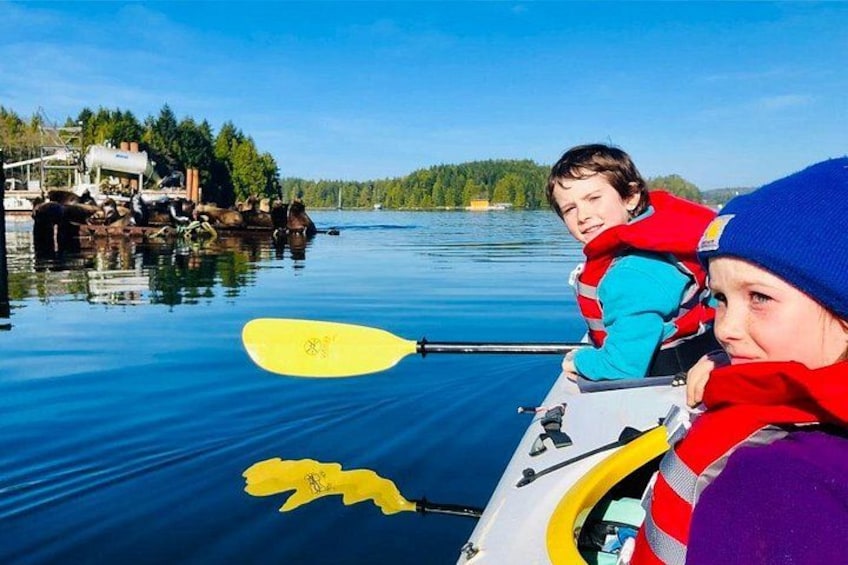 A calm lake with a kayak and paddle, surrounded by trees and a dock. 2