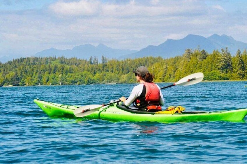 Ucluelet Harbour Tour 4