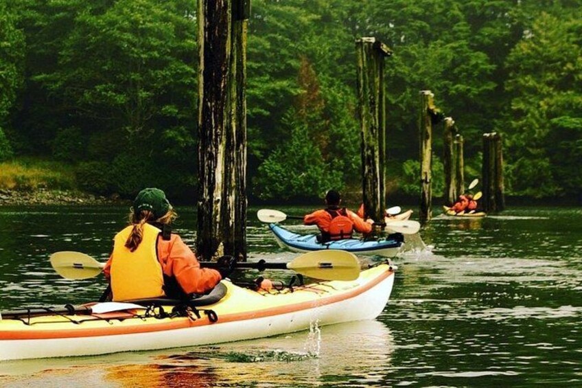 Ucluelet Harbour Tour 1
