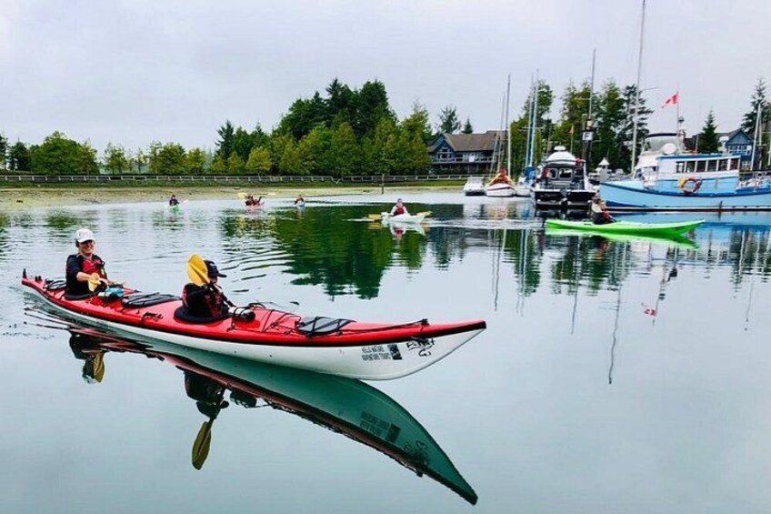 Ucluelet Harbour Tour 2