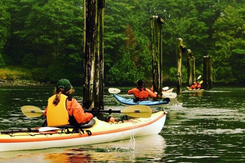 Ucluelet Harbour Tour 1