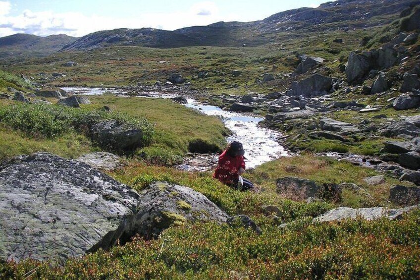 A person in a red jacket sitting on a rocky outcrop overlooking a stream in a mountainous area. 2