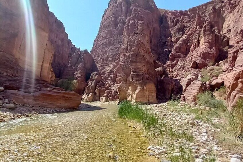 Wadi al Hasa Hiking Tour with locals