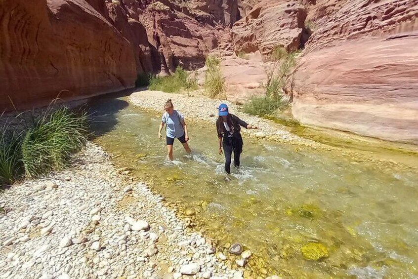 Wadi al Hasa Hiking Tour with locals