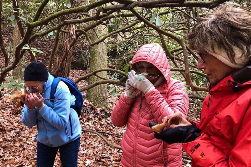 People in a forested area, wearing jackets and gloves, with one person holding a stick. 3