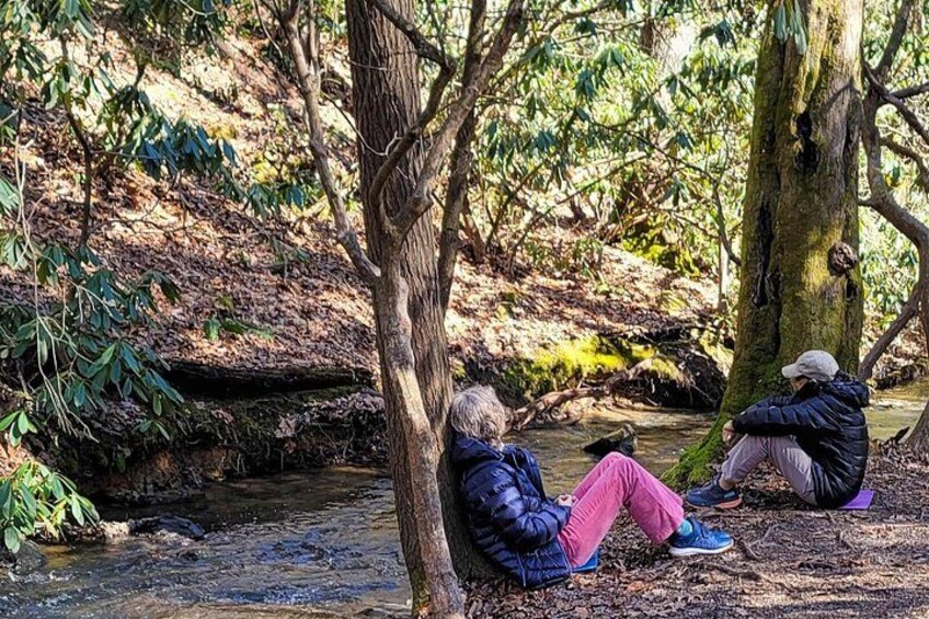 Two people sitting on the ground near a stream in a wooded area. 4