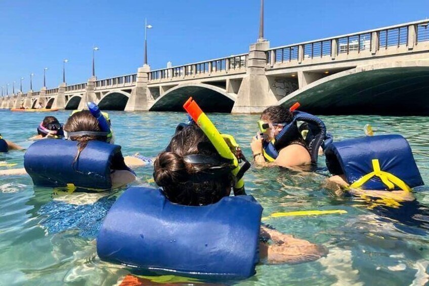 Folk snorkler i klart vand med en bro i baggrunden. 4