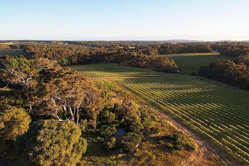 Passel Estate birds eye view 2