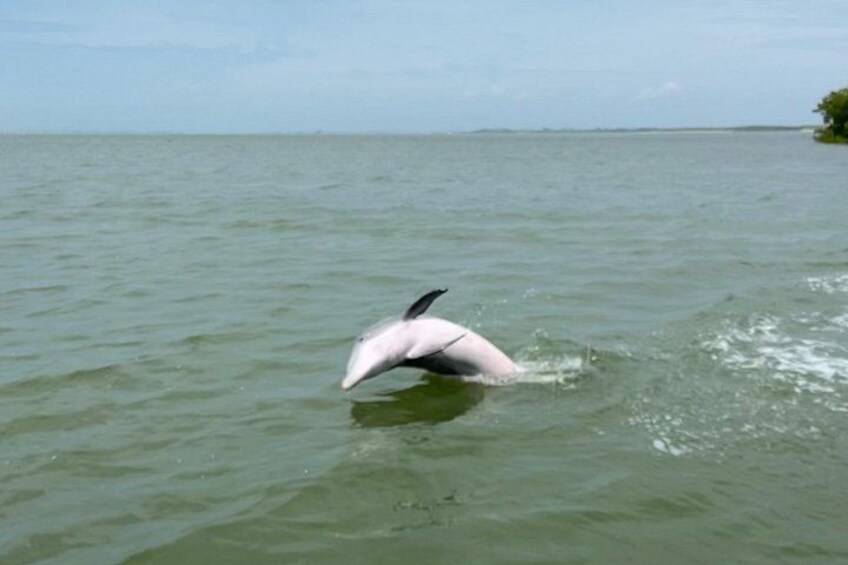 Half-Day Private Tiki Boat Beach Tour from Fort Myers 5