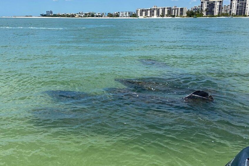 Half-Day Private Tiki Boat Beach Tour from Fort Myers 2