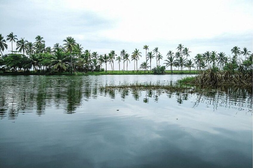 A calm water body with reflections of palm trees and a clear sky. 3