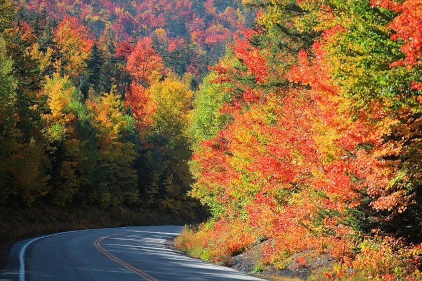 Kancamagus Scenic Byway Self-Guided Audio Driving Tour Guide 4