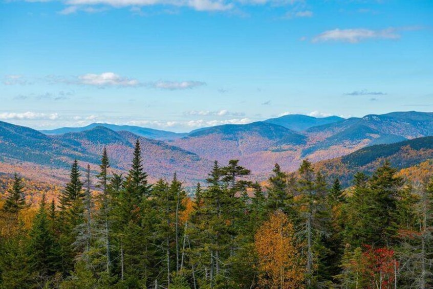 A mountainous landscape with autumn foliage and evergreen trees. 5