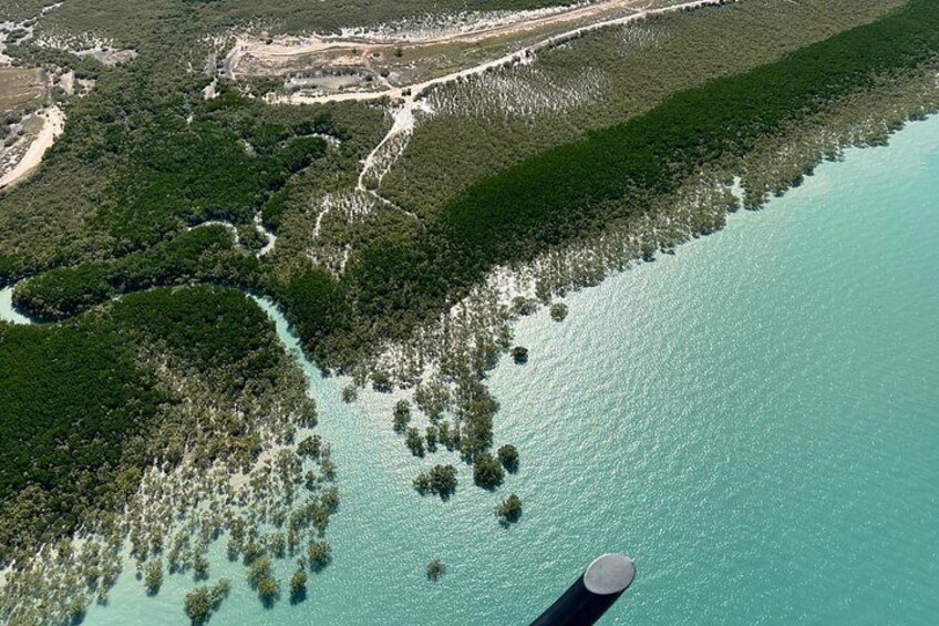 Vue aérienne d’une zone côtière avec une rivière, une végétation luxuriante et un cours d’eau dégagé. 5