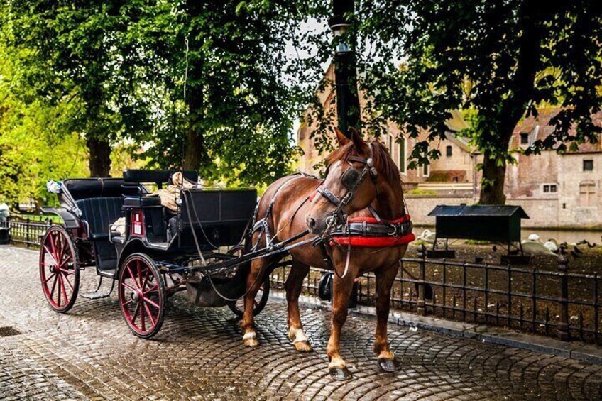 Un carruaje tirado por caballos en una calle adoquinada. 5
