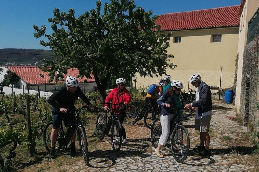 Private e-Bike in Douro Valley for Half Day Tour 1