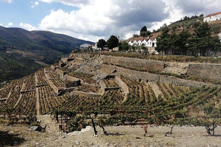 Private e-Bike in Douro Valley for Half Day Tour 5